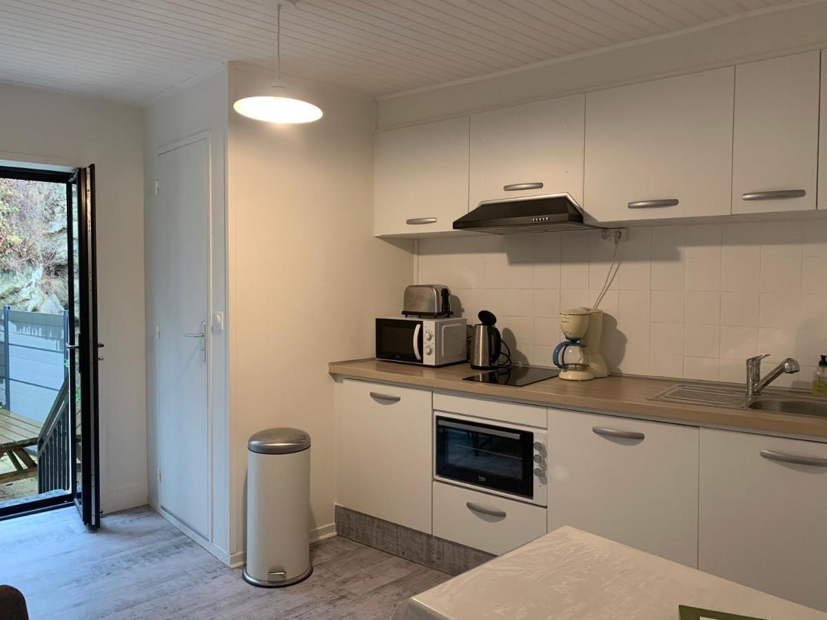 Appartement 4 Personnes, 1 Chambre, Terrasse, Wifi, Proche Du Centre La Bourboule Exterior foto